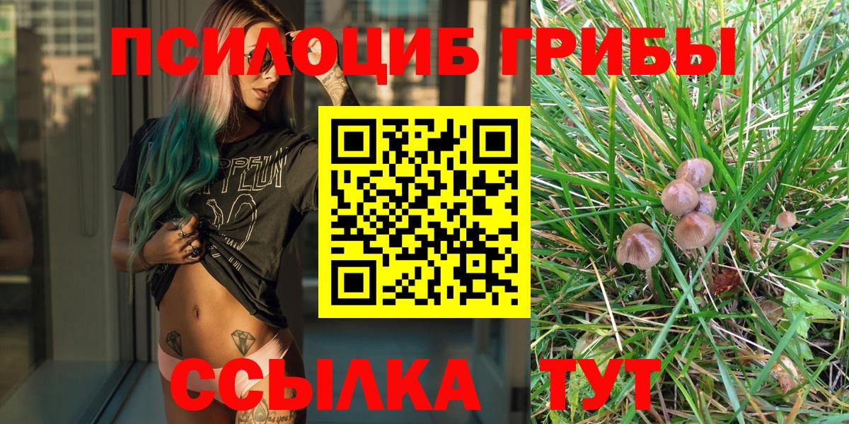 Электросталь  Галлюциногенные грибы MAGIC MUSHROOMS  Вход с VPN 